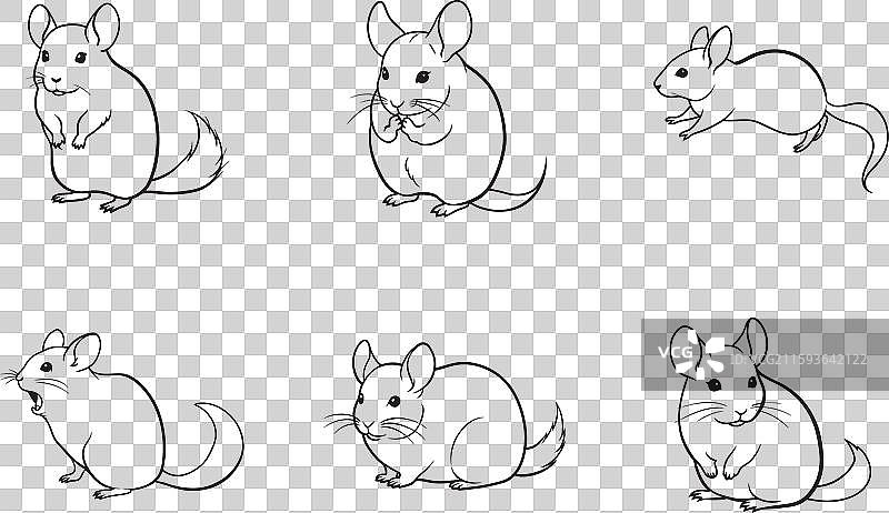 仓鼠线条艺术套装图片素材