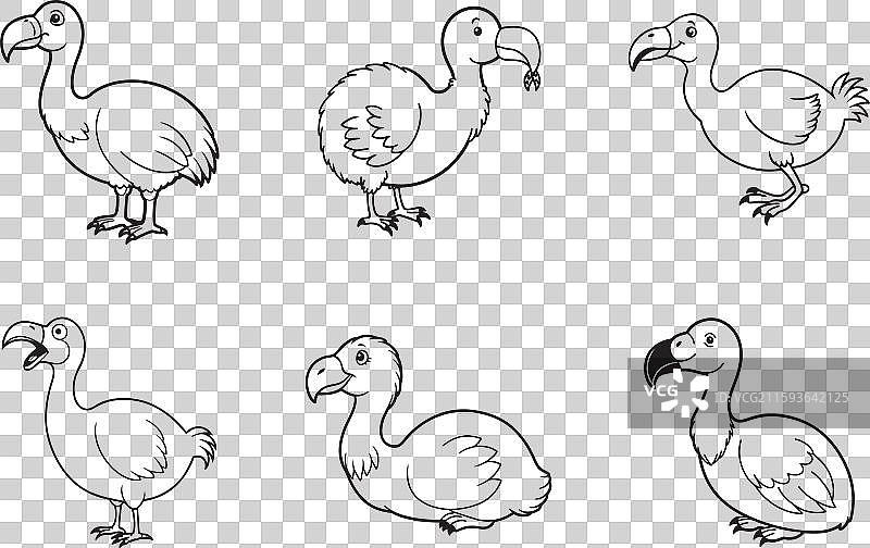 渡渡鸟线条艺术套装图片素材