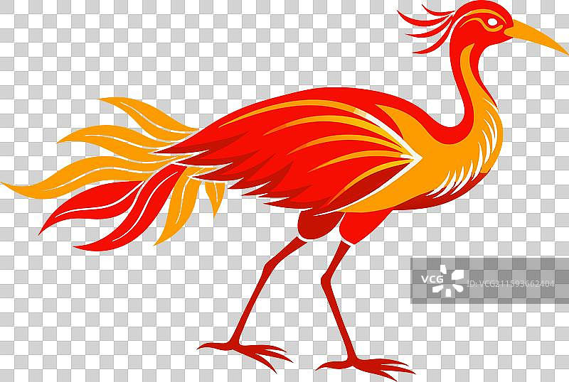 非洲火鹤图片素材