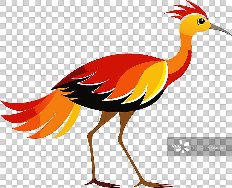 非洲火鹤图片素材