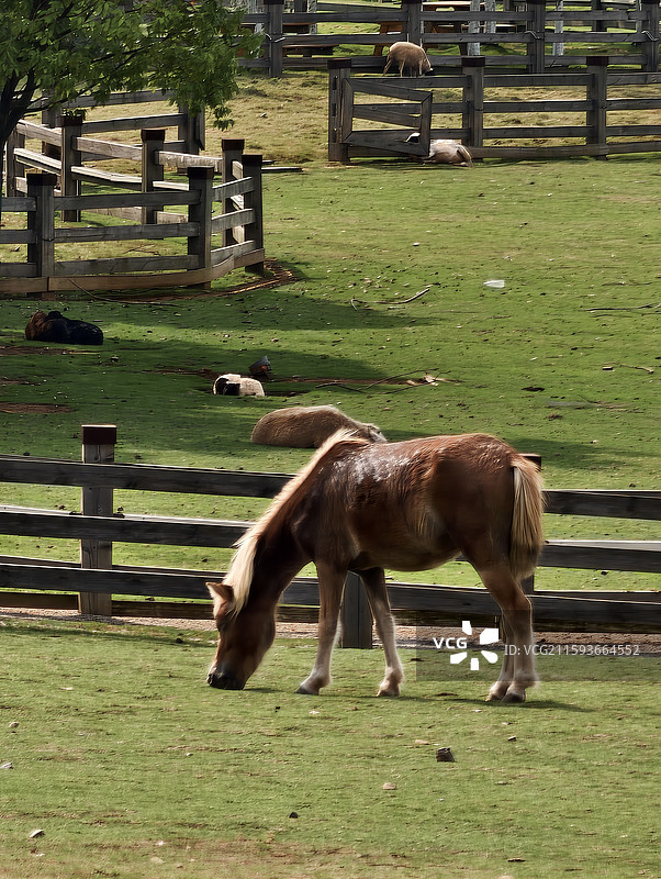 江西萍乡·芦溪县·仙凤三宝园·呦呦牧场图片素材