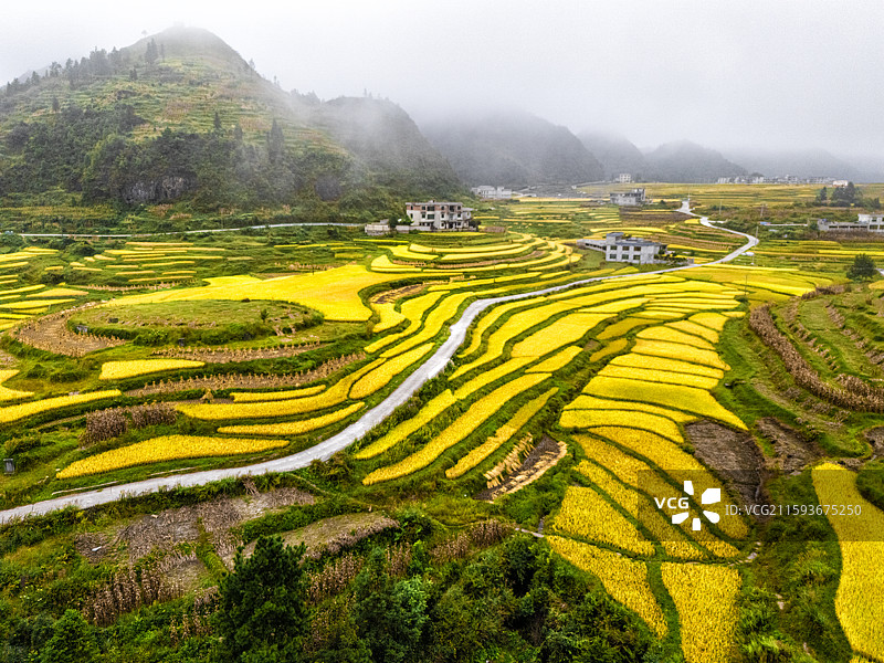 龙里大新梯田图片素材