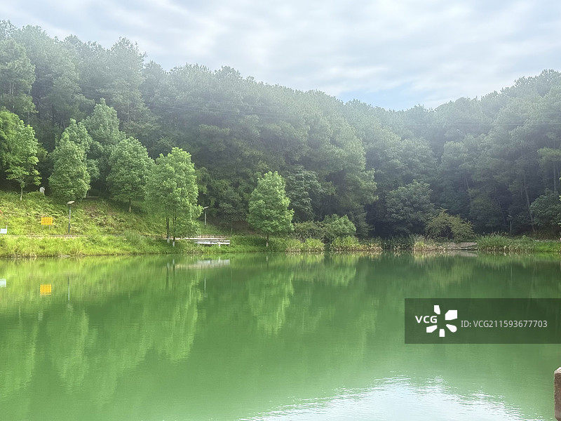 重庆铁山坪森林公园觅香湖图片素材