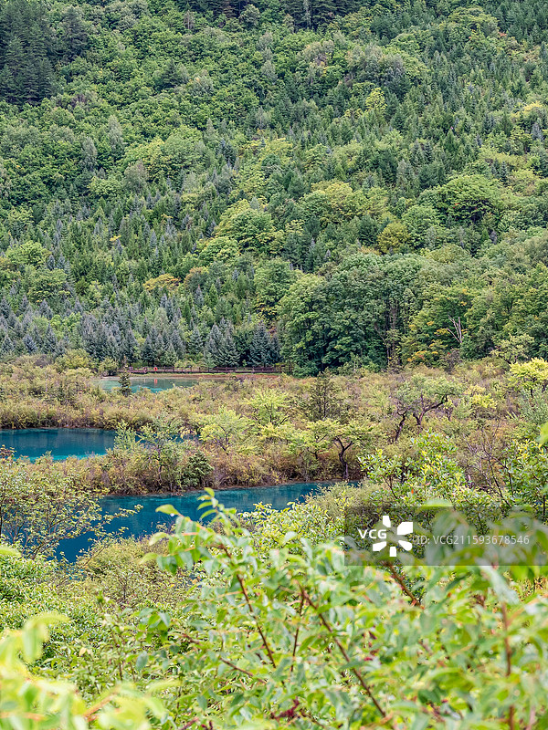 中国九寨沟风景区树正群海景色图片素材