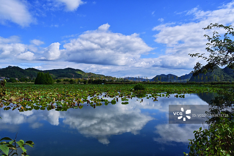 暴雨前的宁静（普者黑天鹅湖）图片素材