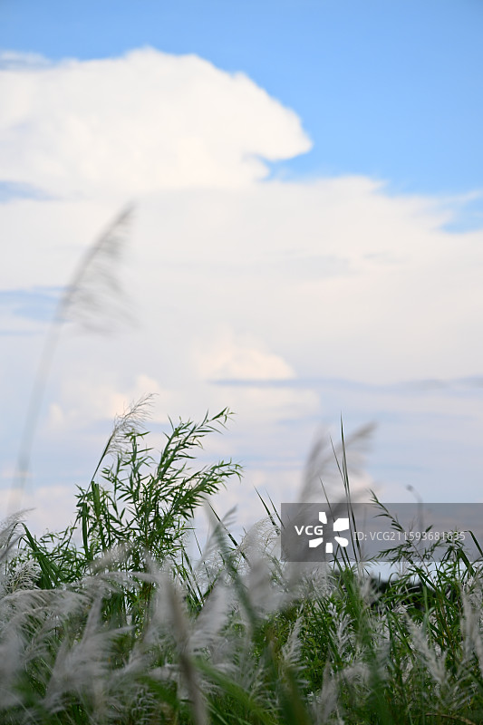 绵竹市广济镇祈祥村，夏日的天空，蓝天白云图片素材