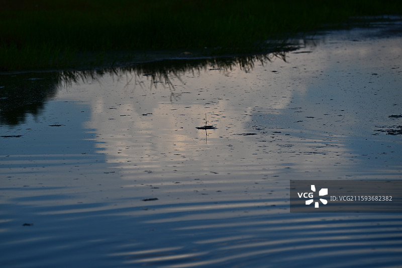 绵竹市广济镇祈祥村，天空的倒影图片素材