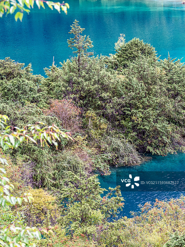中国九寨沟风景区卧龙海景色图片素材