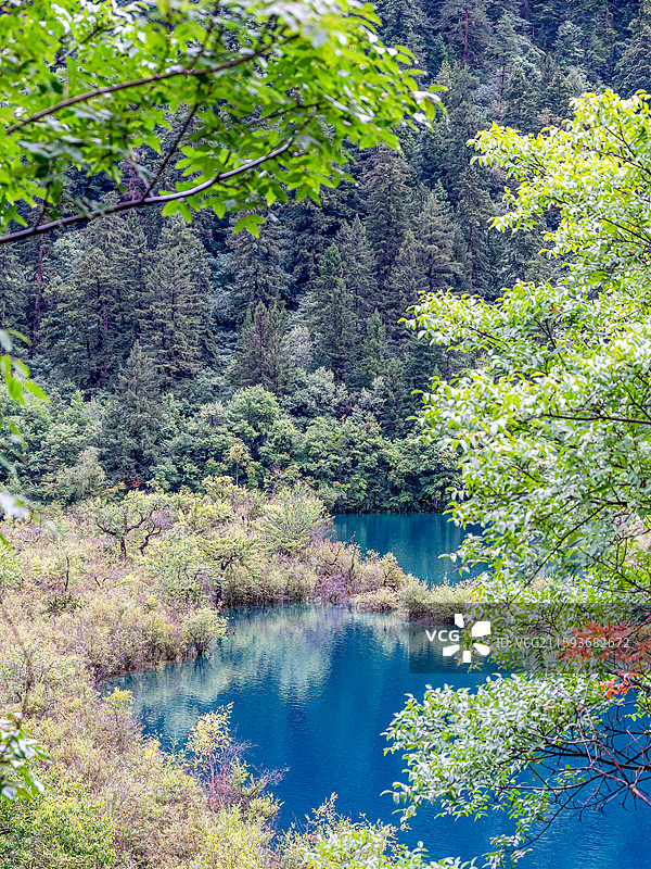 中国九寨沟风景区卧龙海景色图片素材