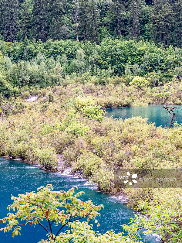 中国九寨沟风景区卧龙海景色图片素材
