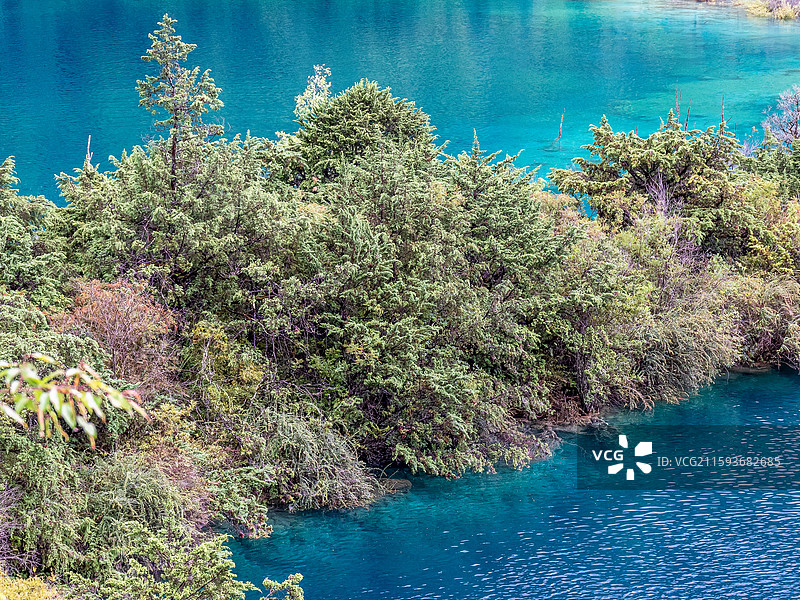 中国九寨沟风景区卧龙海景色图片素材