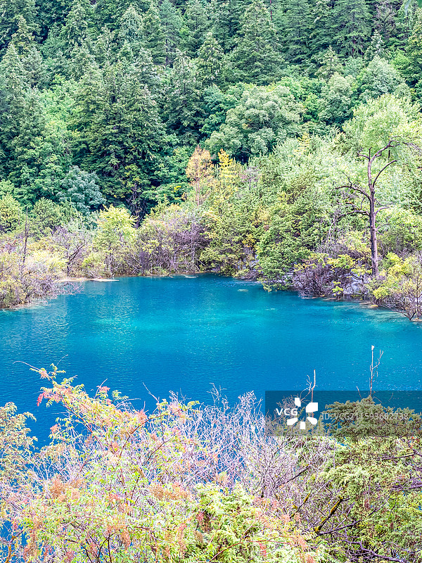 中国九寨沟风景区卧龙海景色图片素材
