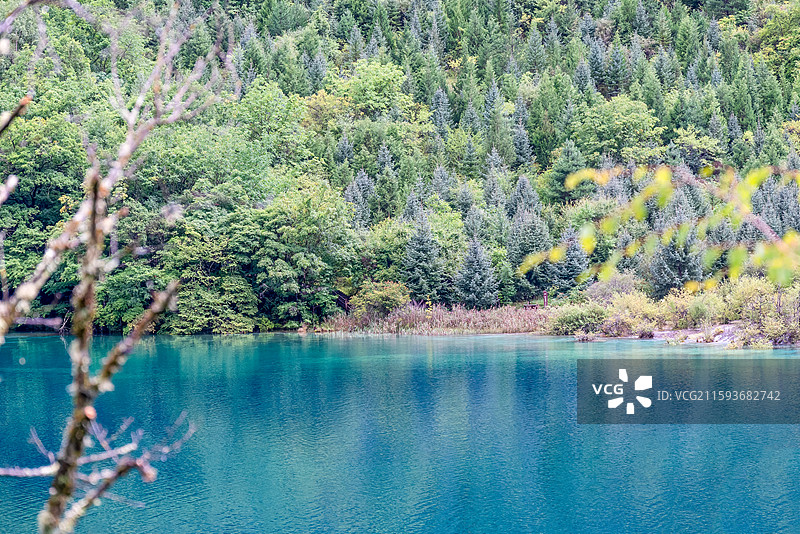 中国九寨沟风景区卧龙海景色图片素材