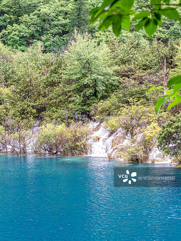 中国九寨沟风景区卧龙海景色图片素材