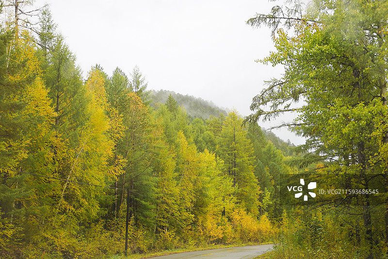 黑龙江漠河洛古河附近G331公路秋天自然风光图片素材