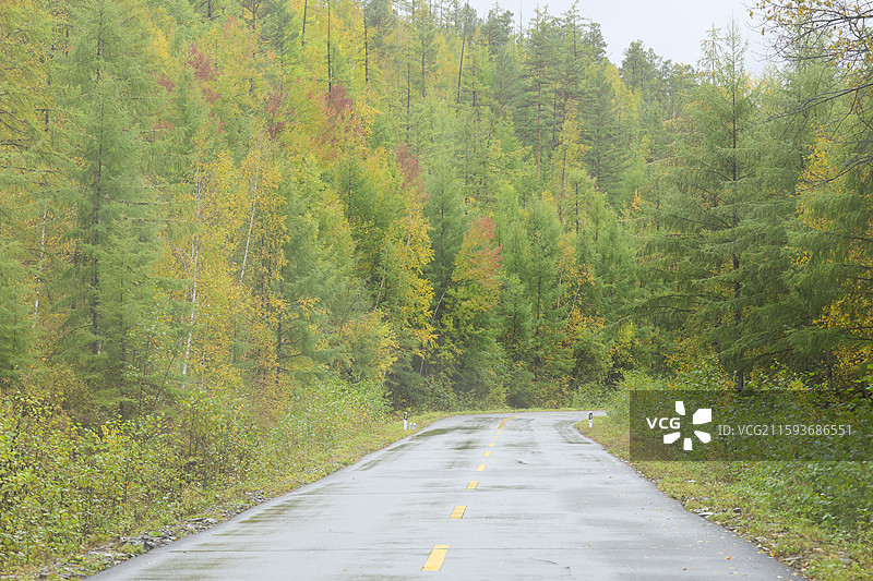 黑龙江漠河洛古河附近G331公路秋天自然风光图片素材