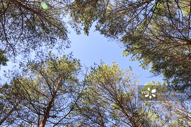 大兴安岭地区塔河县栖霞山植物园望塔楼看塔河镇秋天自然风光图片素材