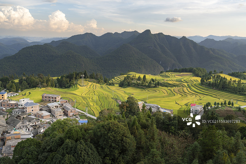 贵州黔南腊利梯田风光：秋日田园的壮丽景观图片素材