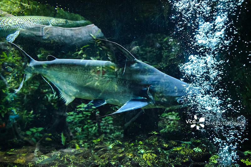 清远古龙峡漂流景区图片素材
