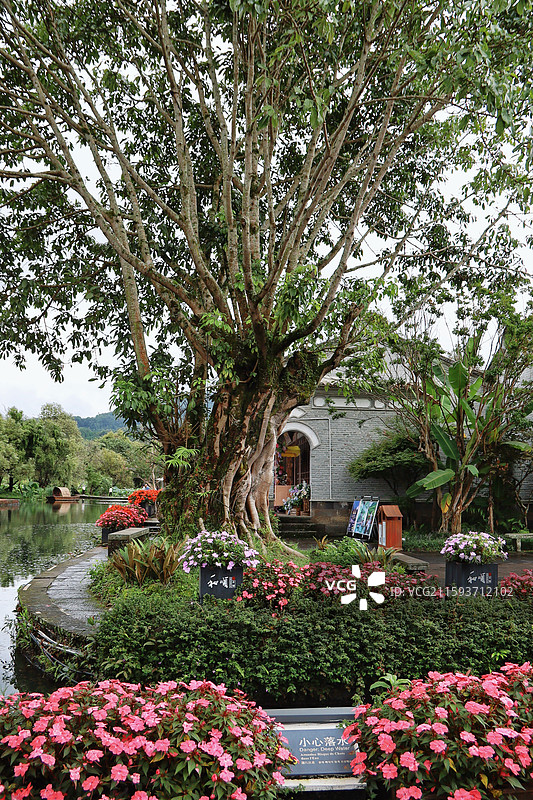 腾冲和顺古镇图片素材