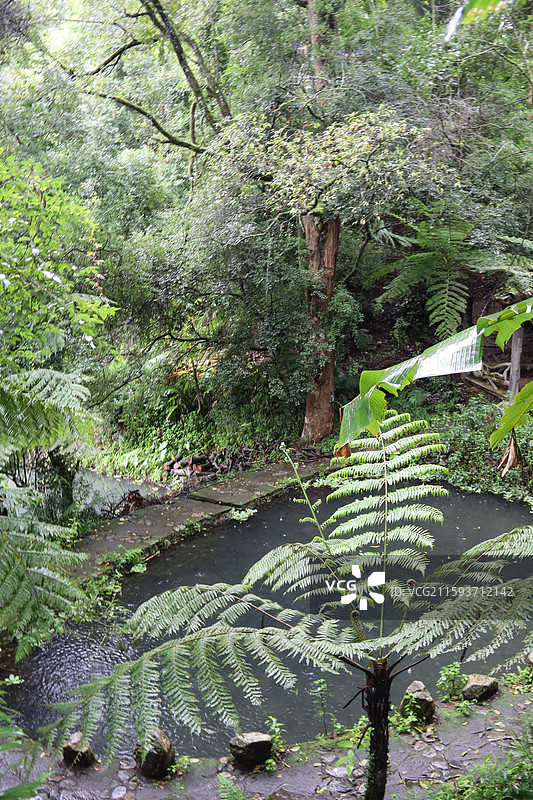 腾冲和顺古镇图片素材
