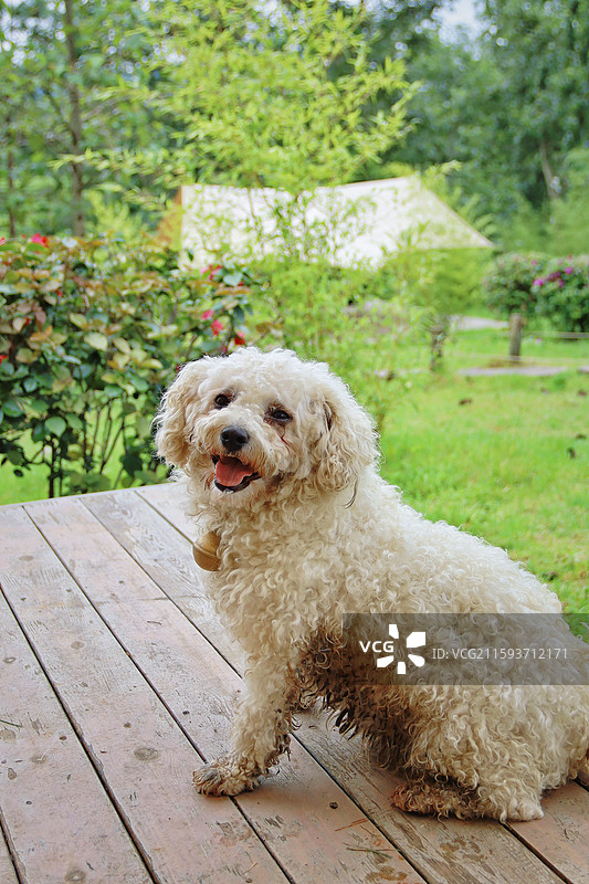 腾冲和顺古镇图片素材