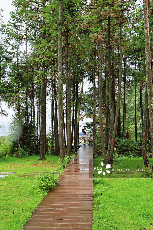 腾冲和顺古镇图片素材