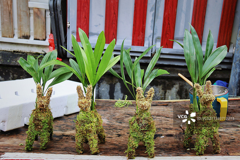 腾冲和顺古镇图片素材