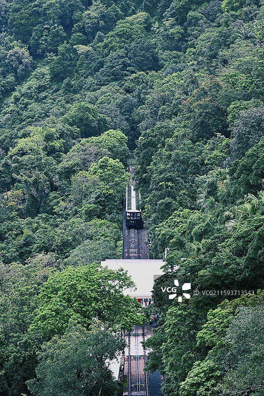 树林间的香港太平山缆车图片素材
