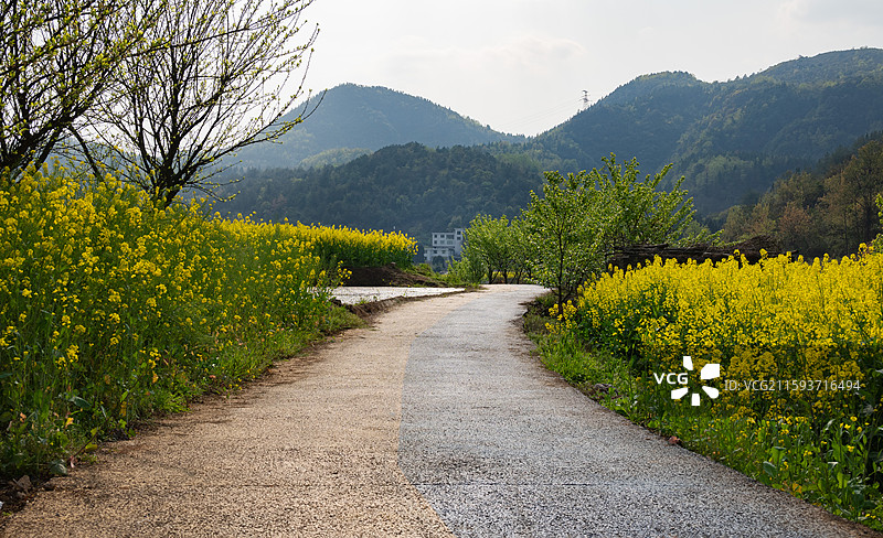 修文县龙场街道沙溪村图片素材