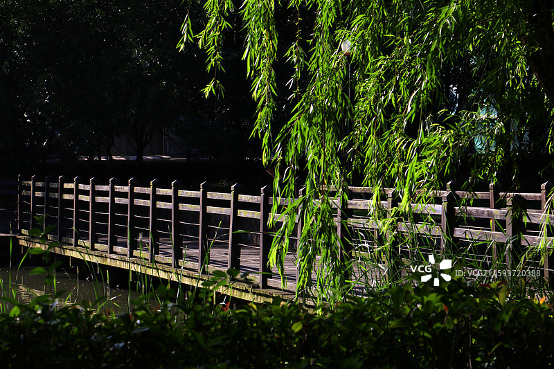 光影下翠叶为前景的木栏扶手桥图片素材