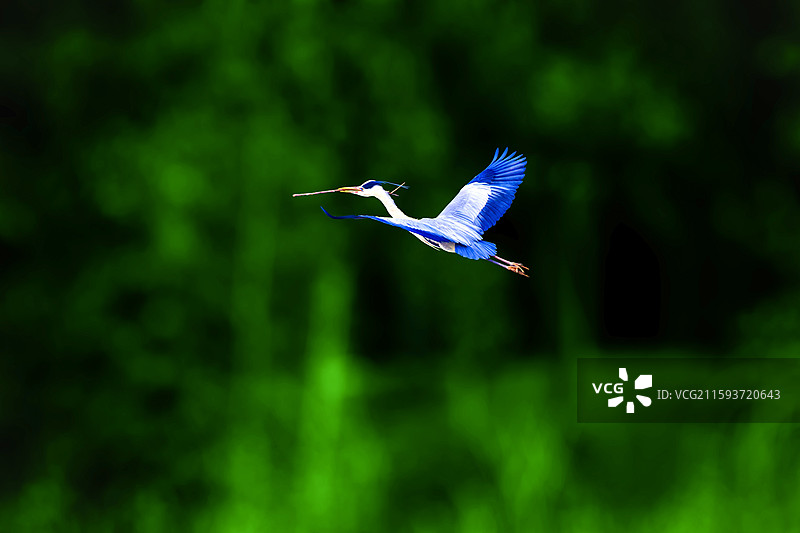 一直很忙图片素材