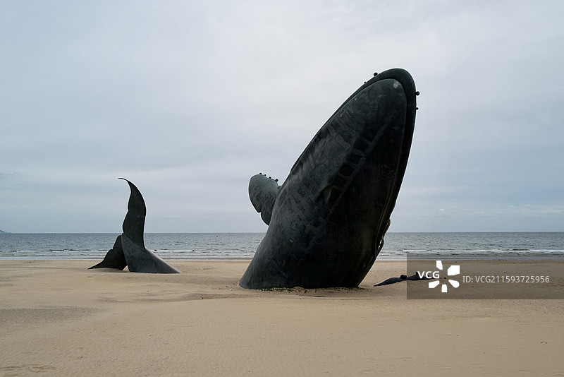 山东烟台金沙滩孤独的鲸图片素材