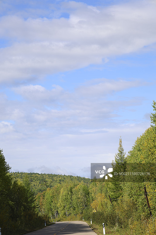 中国境内最北端乌苏里浅滩自然风光中国最北点地理标识我找到北了落叶松图片素材