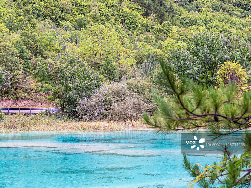 中国九寨沟风景区双龙海景色图片素材