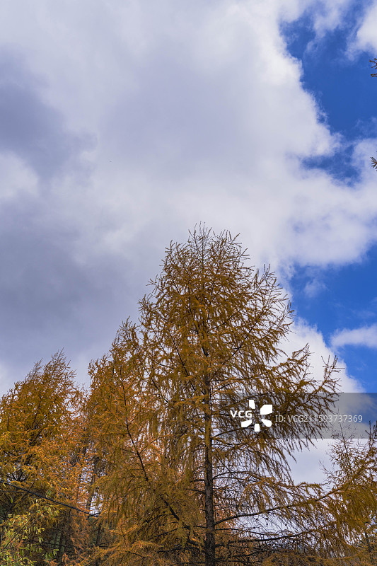 汉中情人谷清晨图片素材