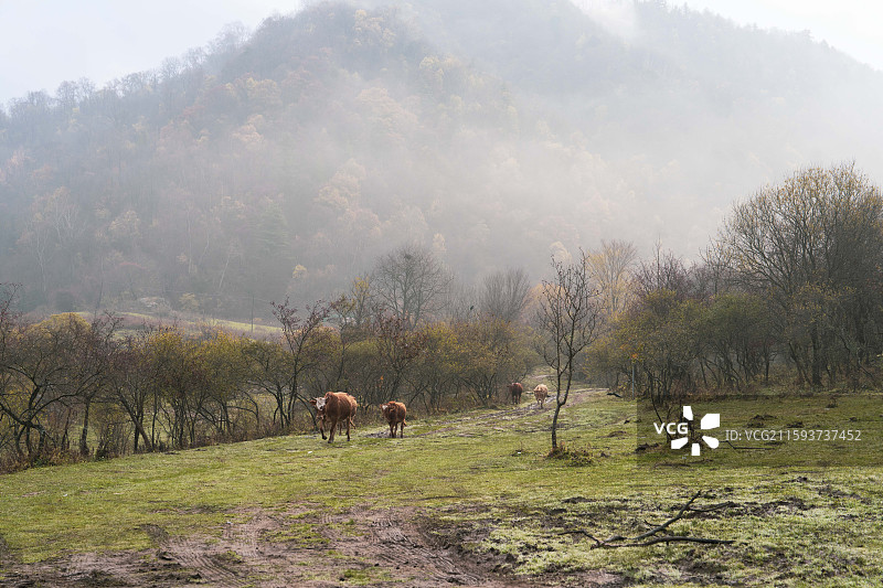 汉中情人谷清晨图片素材