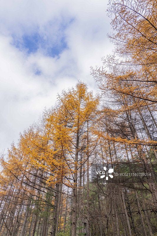 汉中情人谷秋景图片素材
