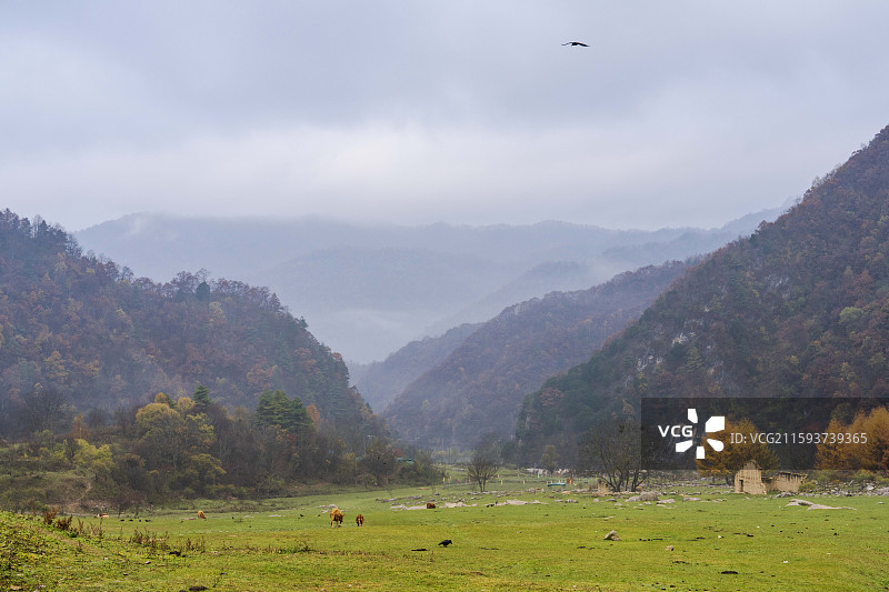 汉中情人谷清晨图片素材