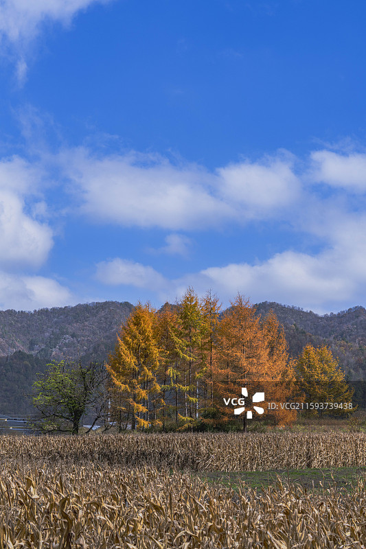 汉中情人谷清晨图片素材