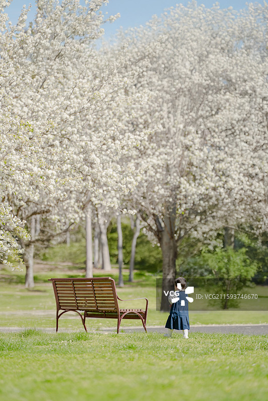 公园梨花树小长椅处穿蓝色背带裙小女孩图片素材