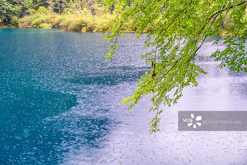 小雨中，中国九寨沟风景区金铃海景色图片素材
