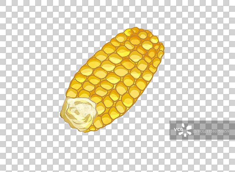 农业元素农产品玉米图片素材