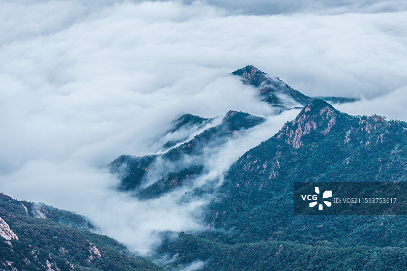 2025年9月23日一场秋雨刚歇，泰山便裹进了流动的云絮里。云雾从山谷间漫出，去玉皇顶看云漫过天际，图片素材