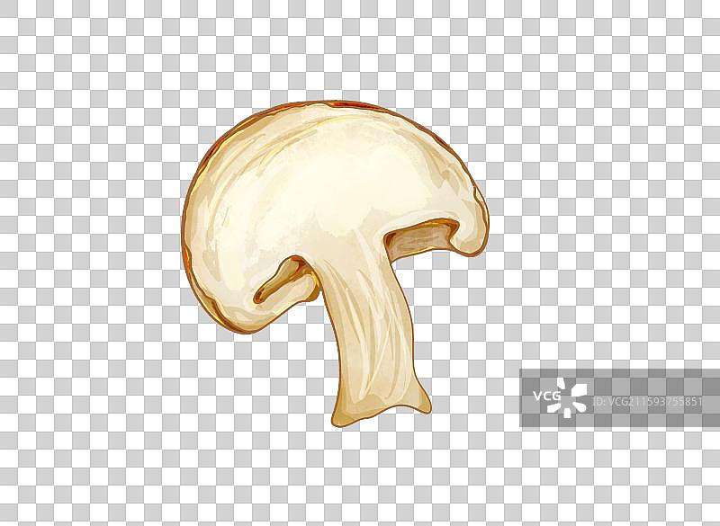 蔬菜菌菇香菇切片图片素材