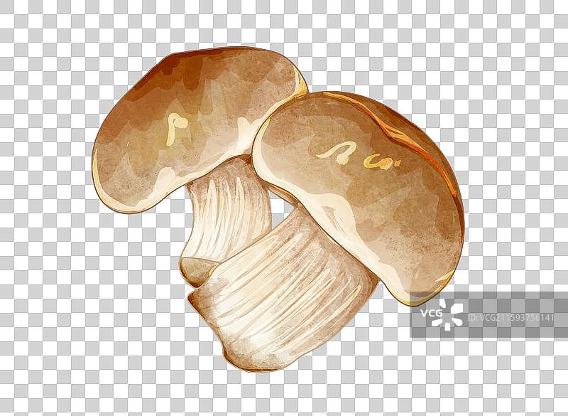 蔬菜元素草菇图片素材