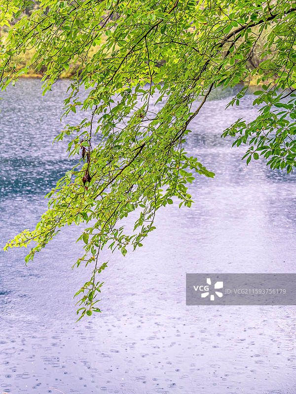 小雨中，中国九寨沟风景区金铃海景色图片素材