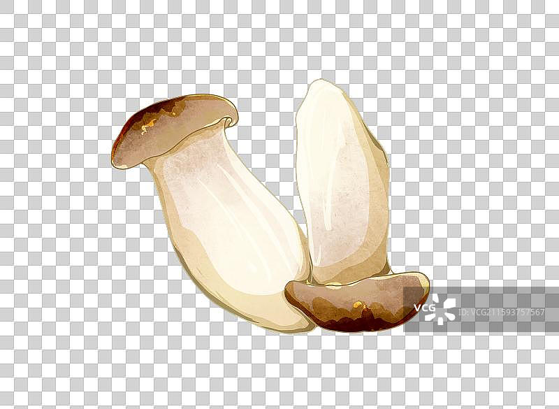 菌菇元素杏鲍菇图片素材