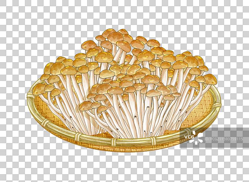 一筐蟹味菇图片素材