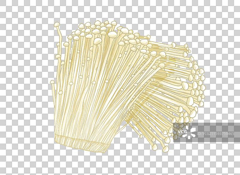 蘑菇金针菇图片素材